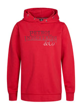 Cargar imagen en el visor de la galería, Hoodie SWH302
